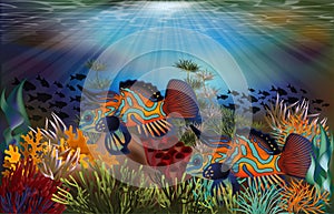 Underwater tropical card with mandarin dragonet fish,