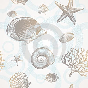 Underwater tropical fauna