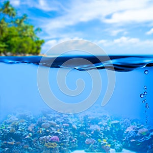 Underwater tropical sea water surface background