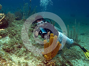 Underwater Vidiographer shooting a Tube Sponge