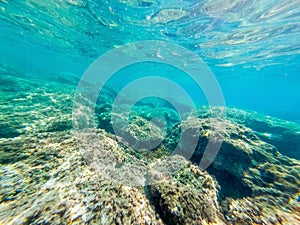 Underwater view of Alghero rocky shore