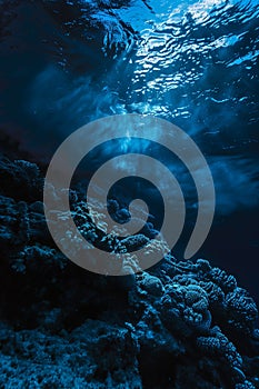 underwater view of dark blue ocean water, under the surface