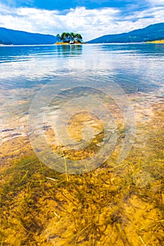 Underwater view Dospat lake Rhodopes Bulgaria