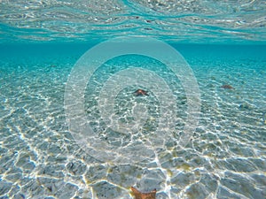 Underwater view in perfect clear ocean water