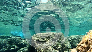 Underwater view of a rocky seabed in North Sardinia