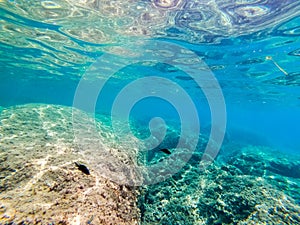 Underwater view of Sardinia rocky sea floor