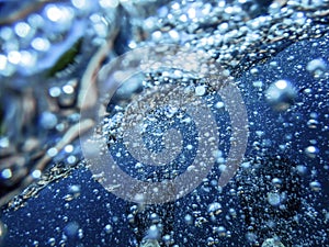 Underwater View Sea Surface