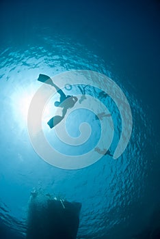 Underwater view of snorkellers sihouettes. photo