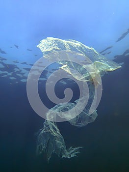 Underwater views of the Black Sea. Different objects and garbage under water, freediving.