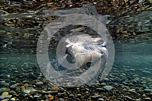 Underwater views of the Black Sea. Different objects and garbage under water, freediving.