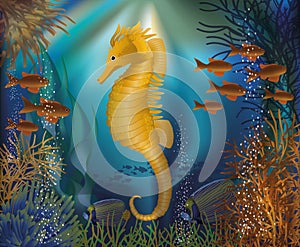 Underwater wallpaper with seahorse seafish