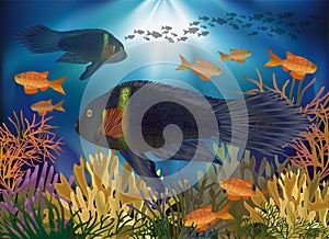 Underwater wallpaper  with tropical fish, vector