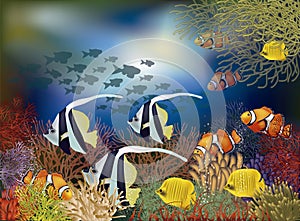 Underwater wallpaper with tropical fish, vector