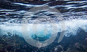 Underwater at Westpunt Curacao Views