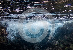 Underwater at Westpunt Curacao Views