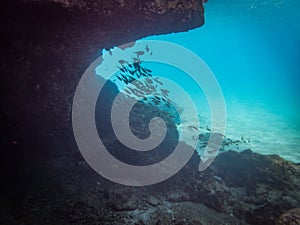 Underwater at Westpunt Curacao Views