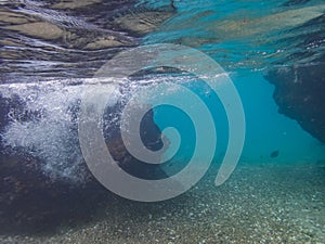 Underwater at Westpunt Curacao Views