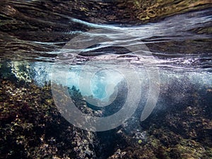 Underwater at Westpunt Curacao Views