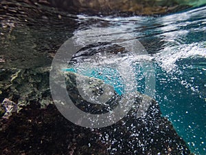 Underwater at Westpunt Curacao Views