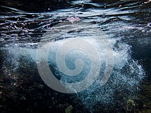 Underwater at Westpunt Curacao Views