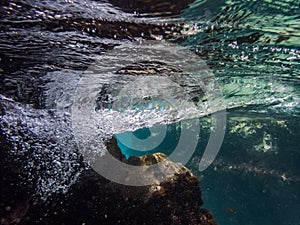 Underwater at Westpunt Curacao Views