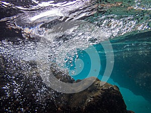 Underwater at Westpunt Curacao Views