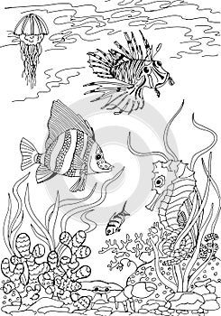 Underwater world. Animals of the tropical seas. Freehand sketch drawing for adult antistress coloring book