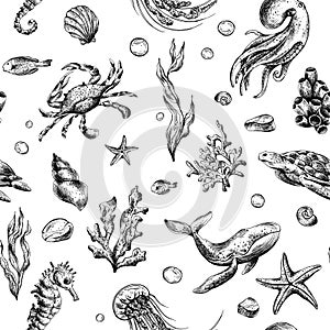Underwater world clipart with sea animals whale, turtle, octopus, seahorse, starfish, shells, coral and algae. Graphic