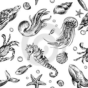 Underwater world clipart with sea animals whale, turtle, octopus, seahorse, starfish, shells, coral and algae. Graphic