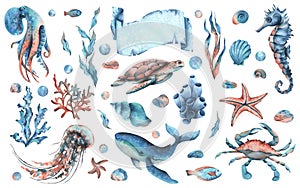 Underwater world clipart with sea animals whale, turtle, octopus, seahorse, starfish, shells, coral and algae. Hand