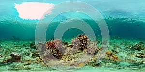 The underwater world of a coral reef. Philippines. Virtual Reality 360