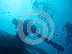 Underwater world in deep water in coral reef and plants flowers flora in blue world marine wildlife, Fish, corals and sea creature