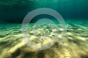 Underwater world in the Red Sea.