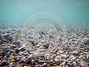 Underwater world - rocks in the water