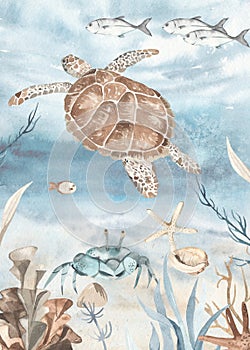 Underwater world, sea turtle, algae, fish, starfish watercolor card