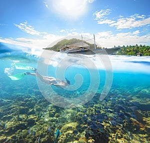 Underwater world on sunny day at Apo Island.