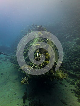 Underwater Wreck in Red sea