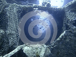 Underwater Wreck. Underwater shipwreck.