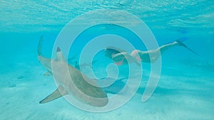 UNDERWATER: Young woman in bikini swims in the exotic sea filled with sharks.