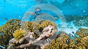 UNDERWATER: Young woman on vacation on tropical island explores scenic seascape.