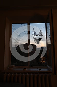 Underwear in the window photo