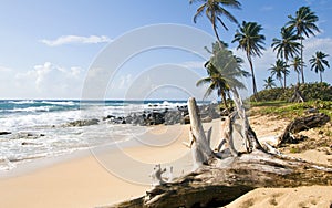 Undeveloped beach Corn Island