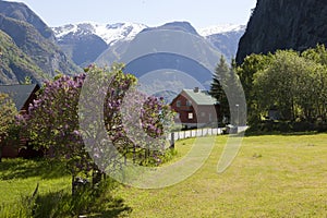 Undredal fjord