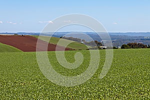 Undulating farm fields