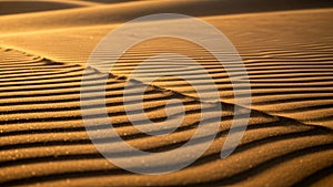 Undulating patterns emphasize the natural beauty of the desert