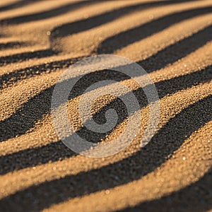 Undulating patterns of sand with alternating light and shadow