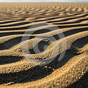 Undulating patterns of sand create a mesmerizing landscape with alternating light and shadow. The