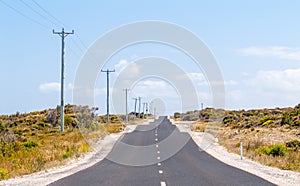 Undulating Road Tasmania Australia