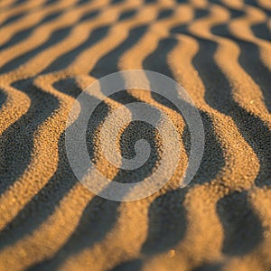 Undulating sand dunes create rhythmic patterns in the desert