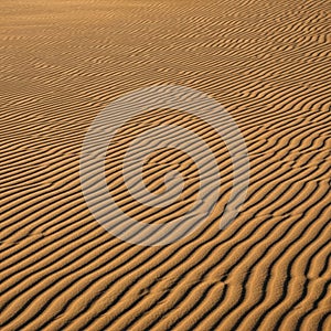 Undulating sand dunes featuring evenly spaced ripples created by wind